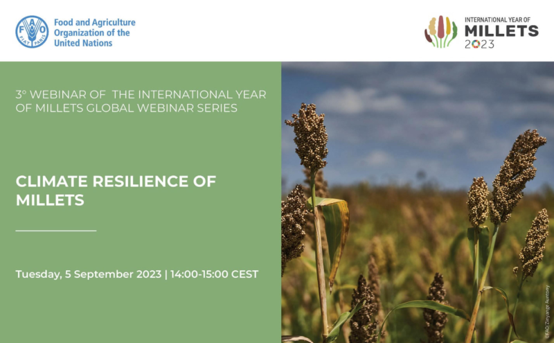[WEBINAR] International Year of Millets Global Webinar Series 3rd Webinar: “Climate resilience of millets”